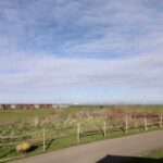 Seaview Caravan Park Whistable CT5