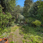 Garden1.jpg