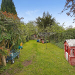 Garden2.JPG