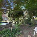 Garden3.jpg