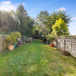 Garden3.jpg
