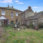 Garden4.jpg
