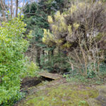 Garden4.jpg