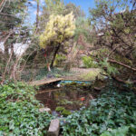 Garden5.jpg