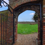 Garden9.jpg