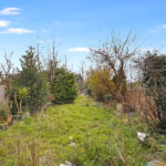 DSC05693-Copy.jpg