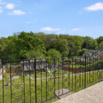 DSC07115.jpg