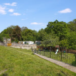 DSC07118.jpg
